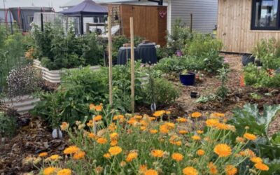 Margaret River’s Edible Gardens Festival tickets on sale